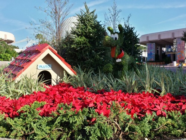 Pluto Topiary