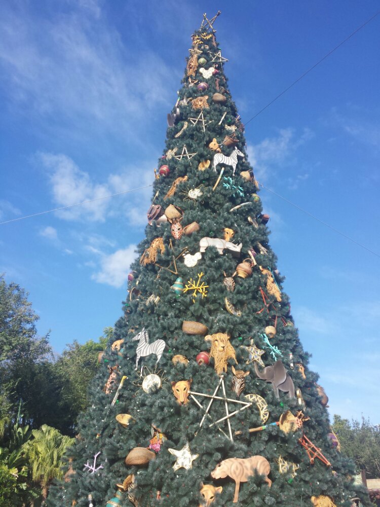 Disney's Animal Kingdom - Christmas Tree at the front entrance