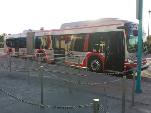 One of the new articulated Disney Transport buses