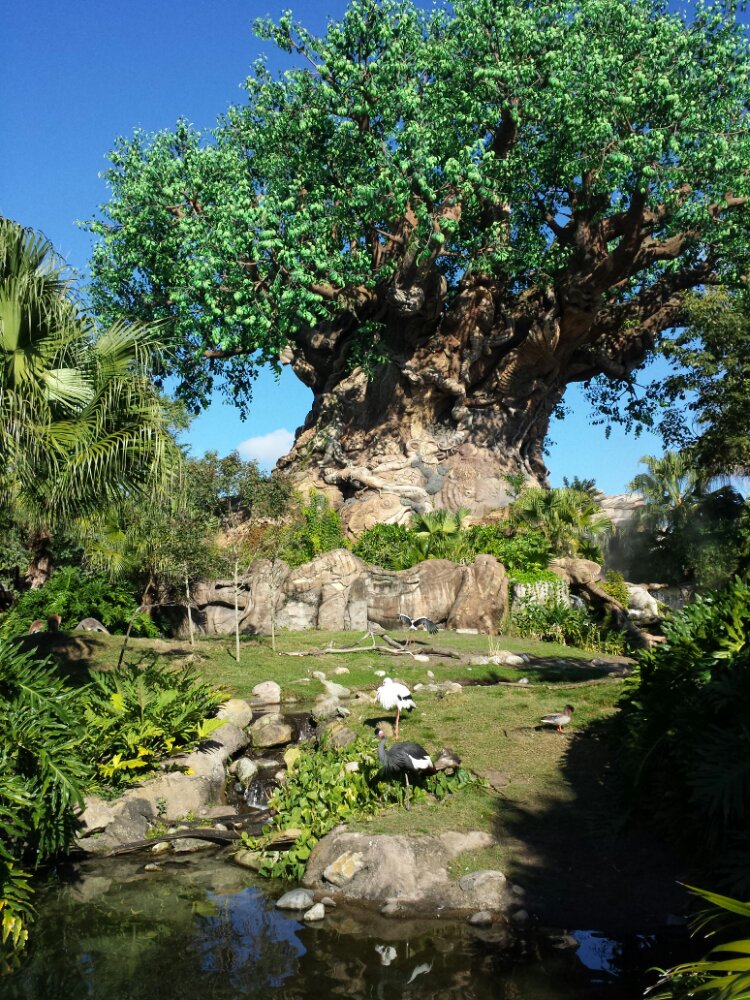 Disney's Animal Kingdom Tree of Life Garden