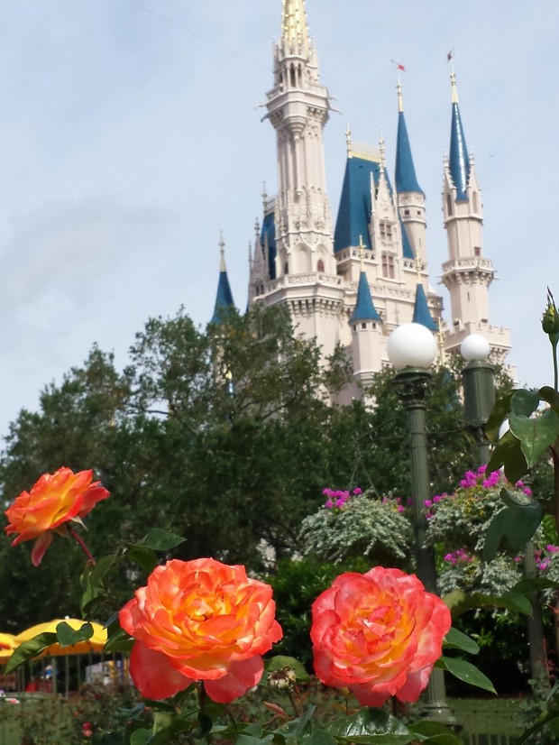 Cinderella Castle with roses in the foreground