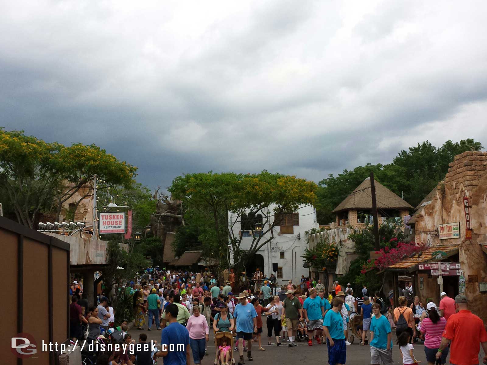 Disney's Animal Kingdom - Harambe