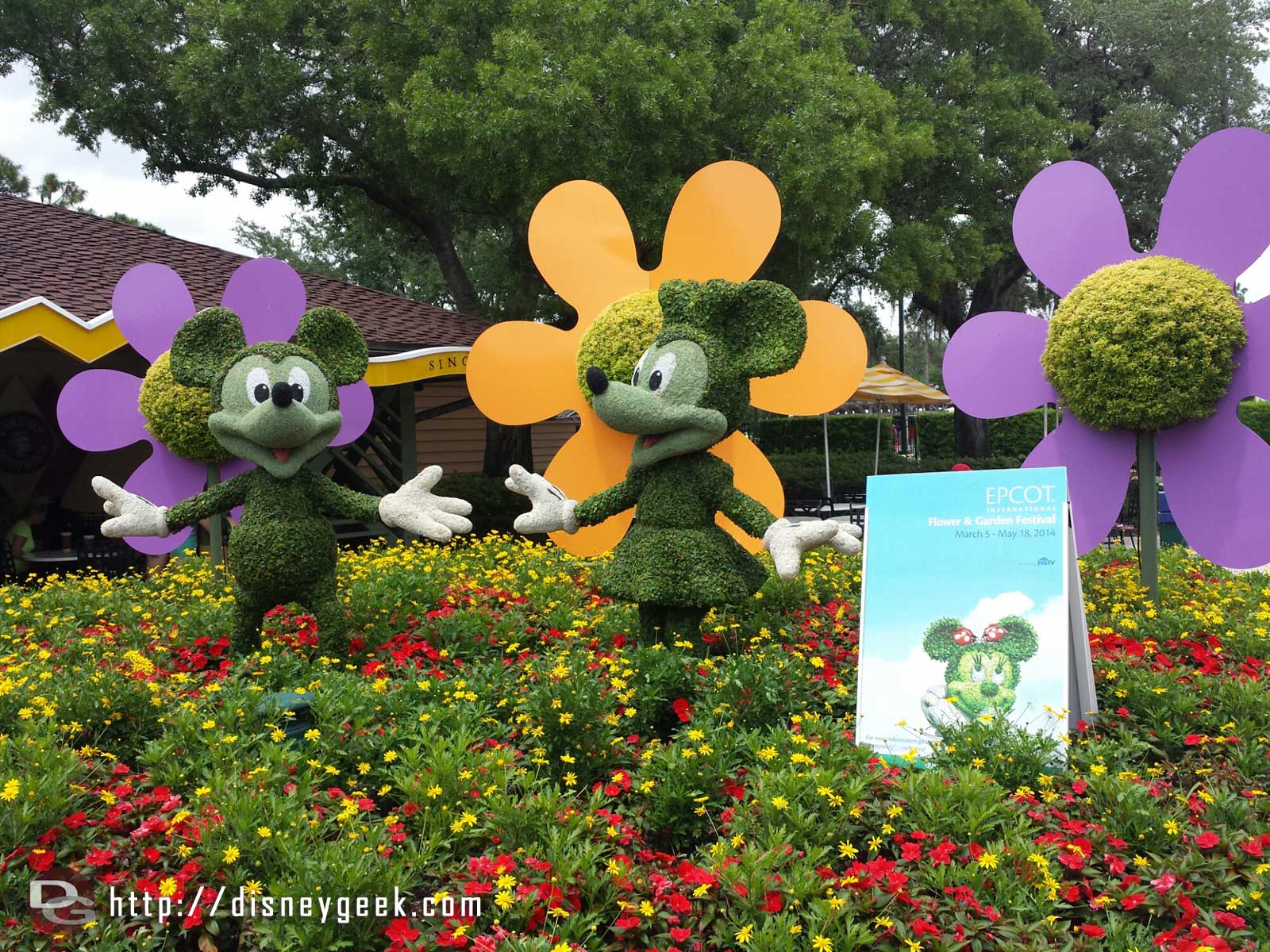 Mickey & Minnie Topiaries advertising the Epcot Flower and Garden Festival