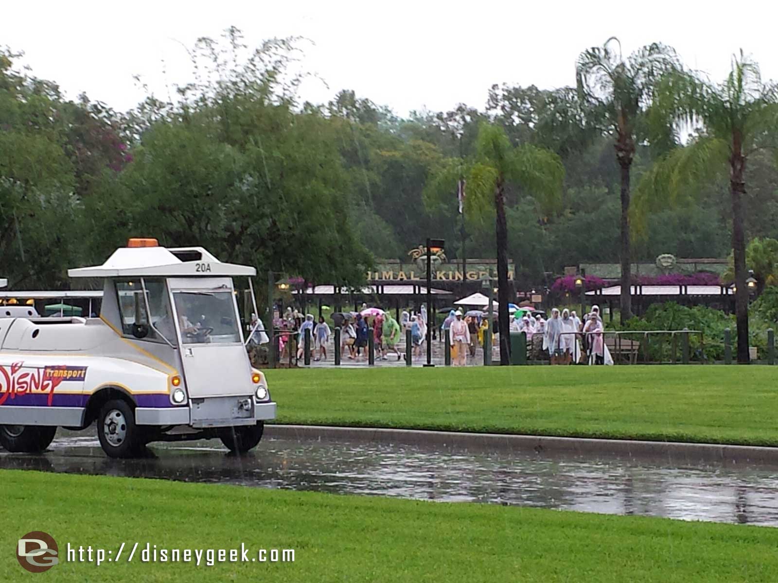 Transferred buses at Disney's Animal Kingdom