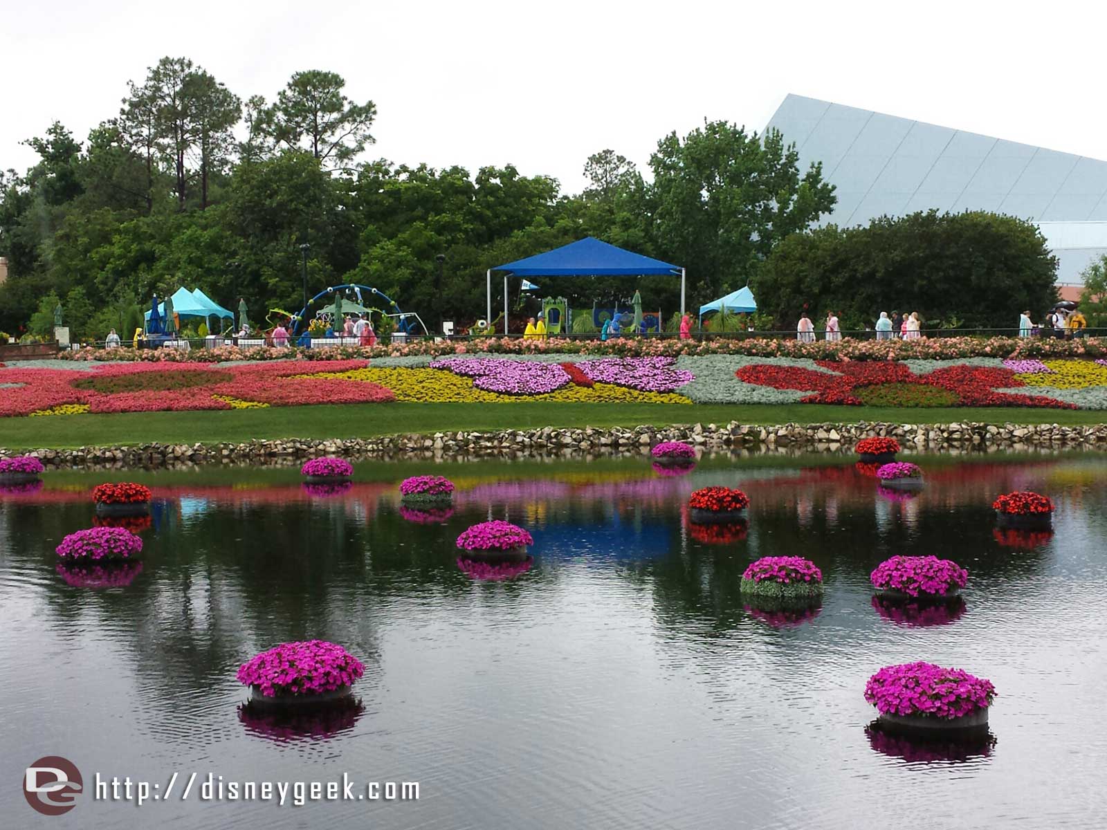 We eventually ventured out. Here are some of the flower beds this year (not many pics since I was jugle an umbrella and cameras) - Epcot International Flower & Garden Festival