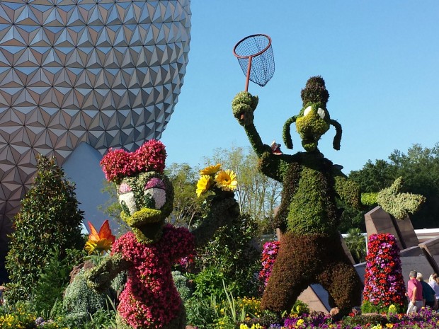  A closer look at Goofy and Daisy topiaries - Epcot International Flower & Garden Festival