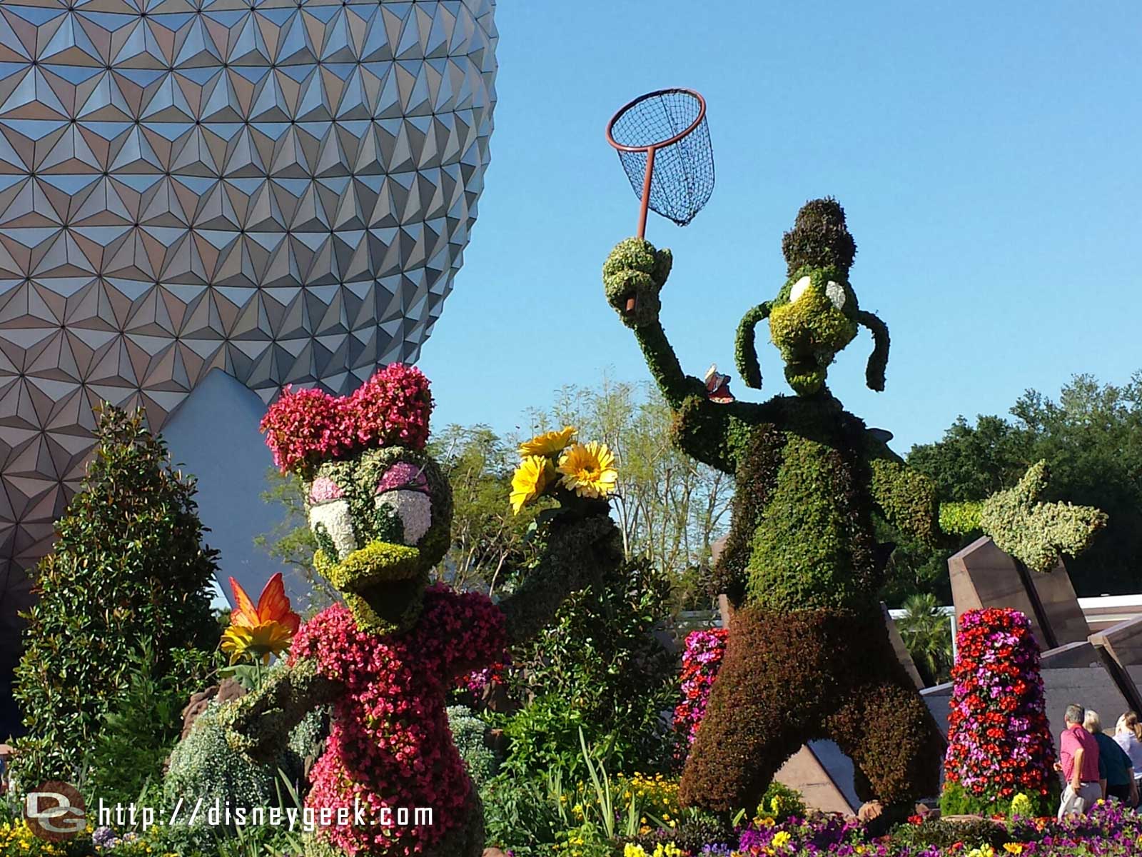 A closer look at Goofy and Daisy topiaries - Epcot International Flower & Garden Festival