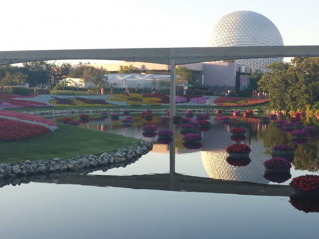 Had to pause for this picture along the way.  But could not wait for a Monorail.  Thought the reflection was great though.
