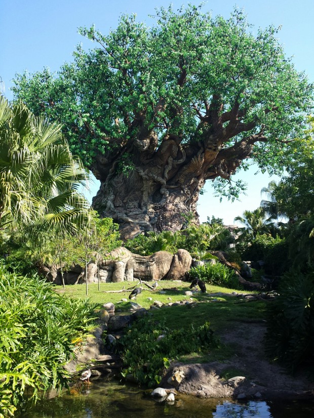 The Tree of Life at Disney's Animal Kingdom