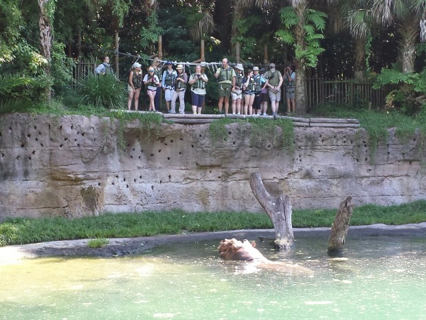 Along the Safari spotted this Wild Africa Trek group overlooking the hippos