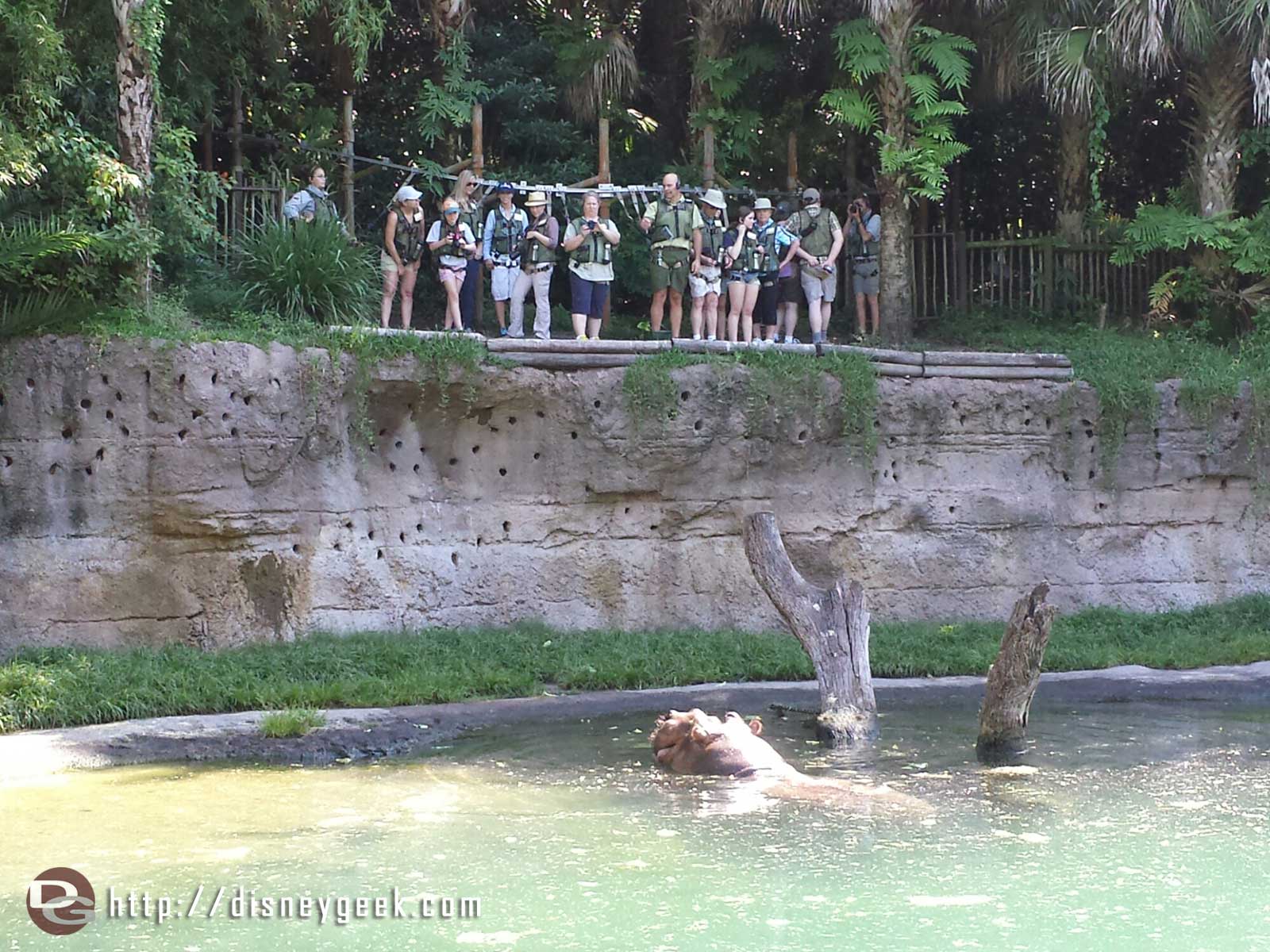 Along the Safari spotted this Wild Africa Trek group overlooking the hippos