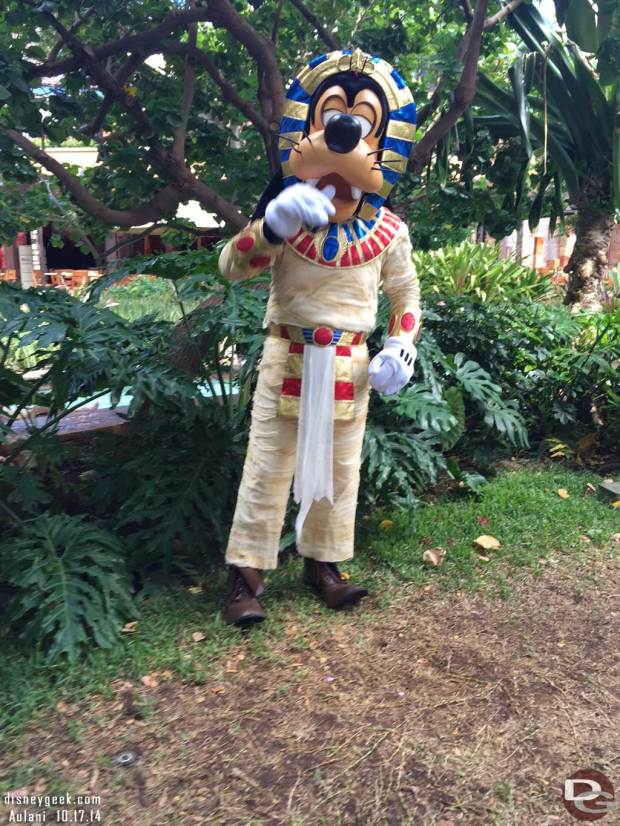 Aulani - Goofy dressed up for Halloween. Interesting the mummy/pharaoh costume