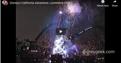 Disney's California Adventure - Luminaria