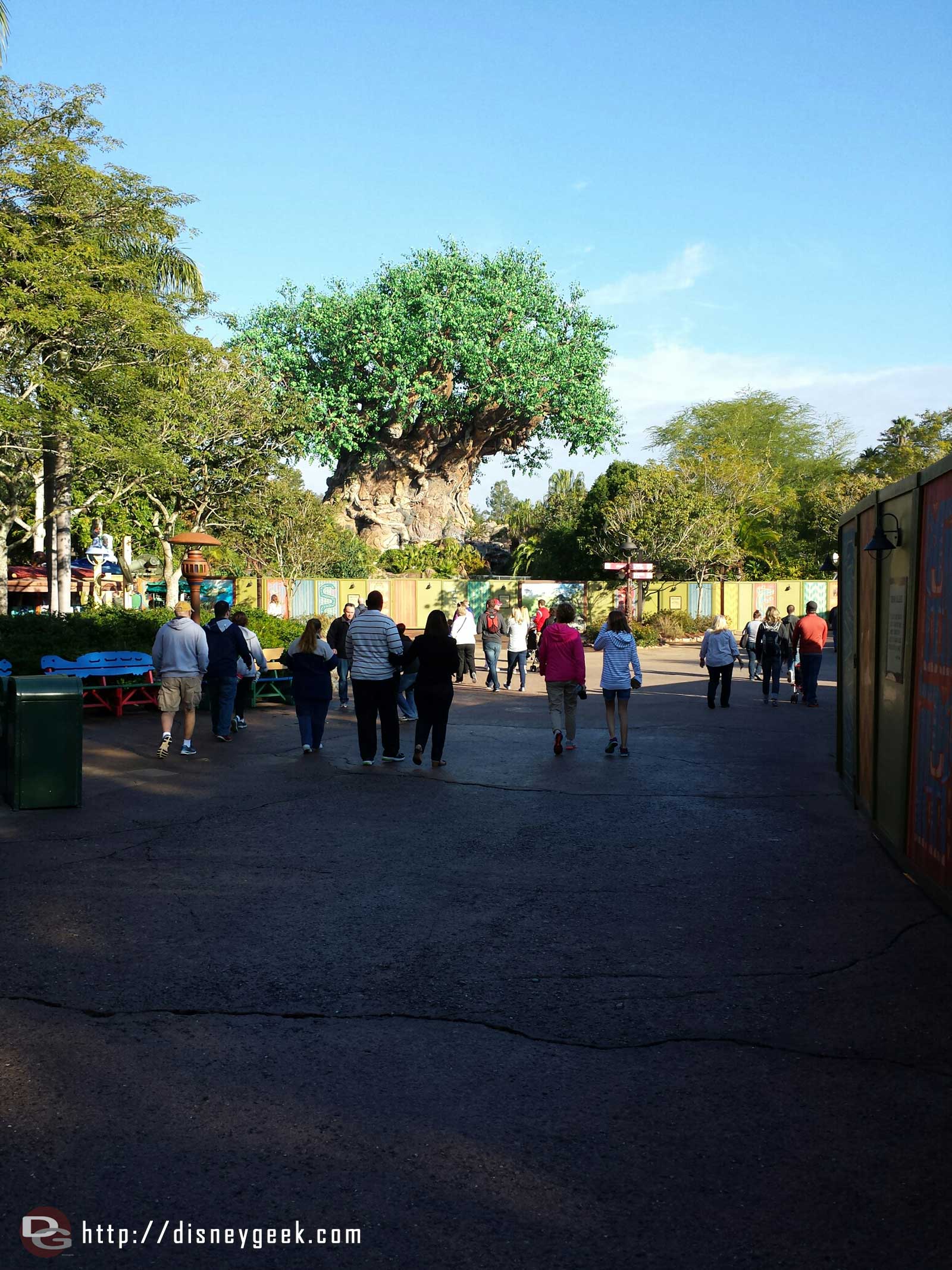 A much more pleasant day at the Animal Kingdom today compared to Monday. Clear skies but cool to cold temperatures.