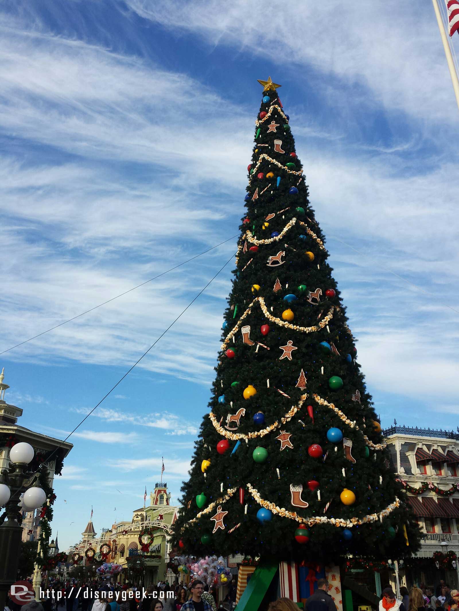 The tree in Town Square at the Magic Kingdom has been installed.