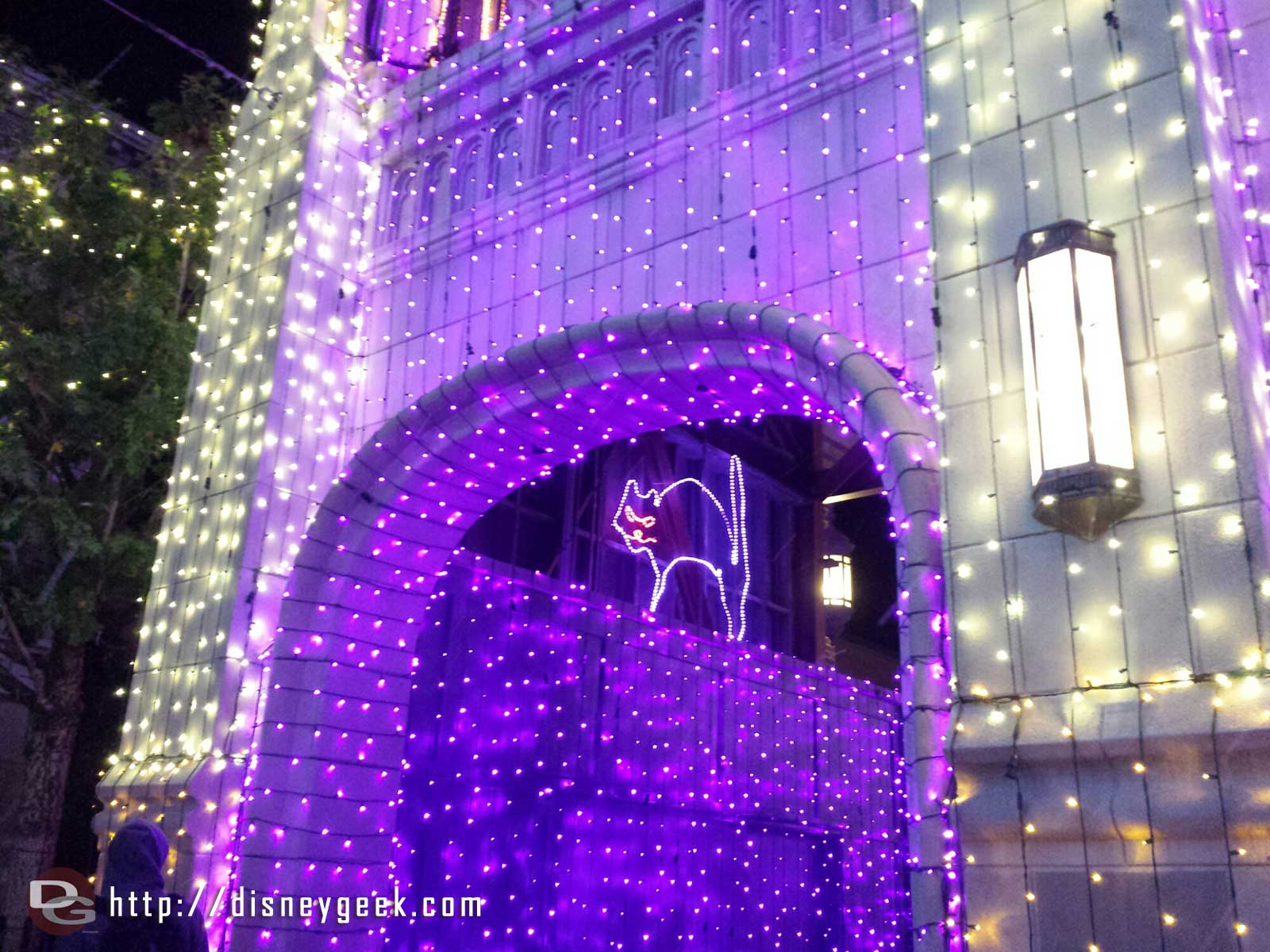 Found the cat at the Osborne Family Spectacle of Dancing Lights at Disney's Hollywood Studios.