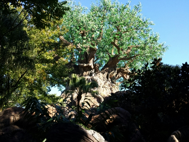 The Tree of Life is easier to see again with some of the nets removed from the exit trail of Tough to Be a Bug.