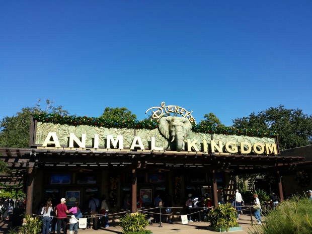 First park this morning, Disney's Animal Kingdom.