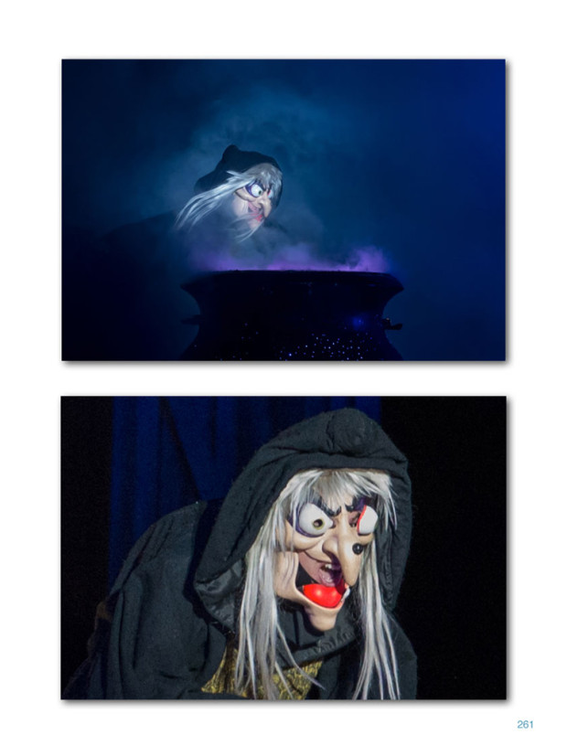 Disneyland A Photographers Dream - Sample Page from Fantasmic