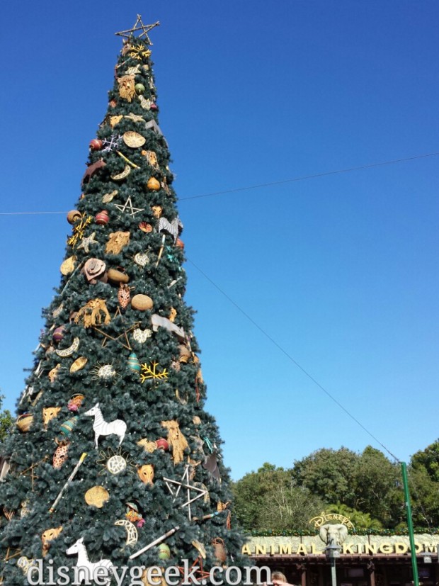 Disney's Animal Kingdom Christmas Tree