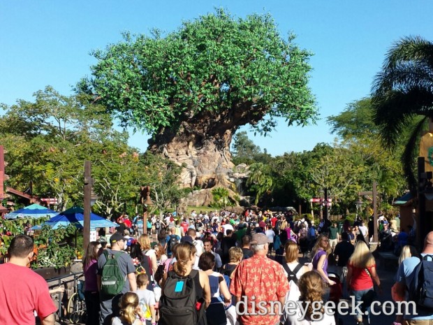 My first stop of the day was the Animal Kingdom. A look at the Tree of Life as I arrived.