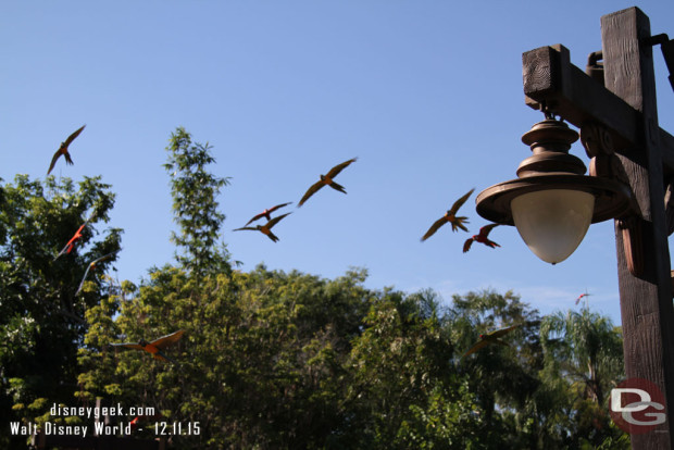 Winged Encounters @ Disney's Animal Kingdom