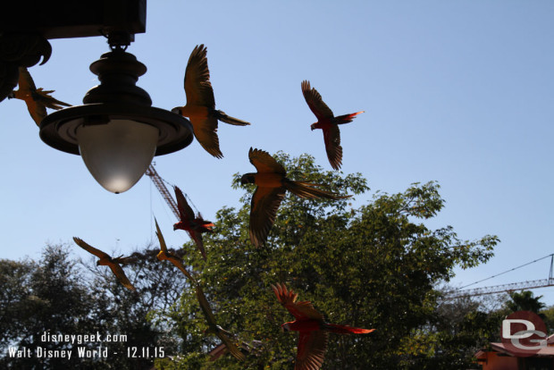 Winged Encounters @ Disney's Animal Kingdom