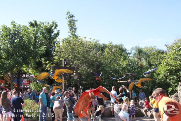 Winged Encounters @ Disney's Animal Kingdom
