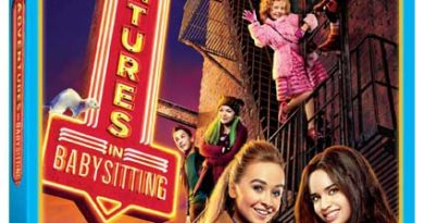 Adventures In Babysitting 2016 DVD
