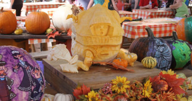 Disneyland Pumpkin 2014 - Featured Image