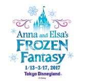 Tokyo Disney Winter 2017