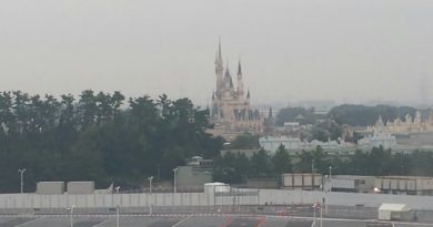Tokyo Disneyland From the Sheraton