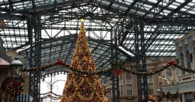 Tokyo Disneyland - World Bazaar Christmas Tree & Wreaths