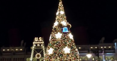 Tokyo DisneySea - The American Waterfront Christmas Tree