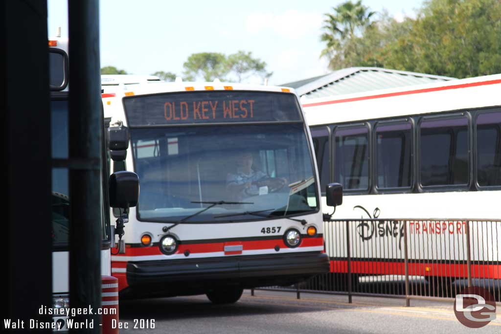 WDW Bus Signs