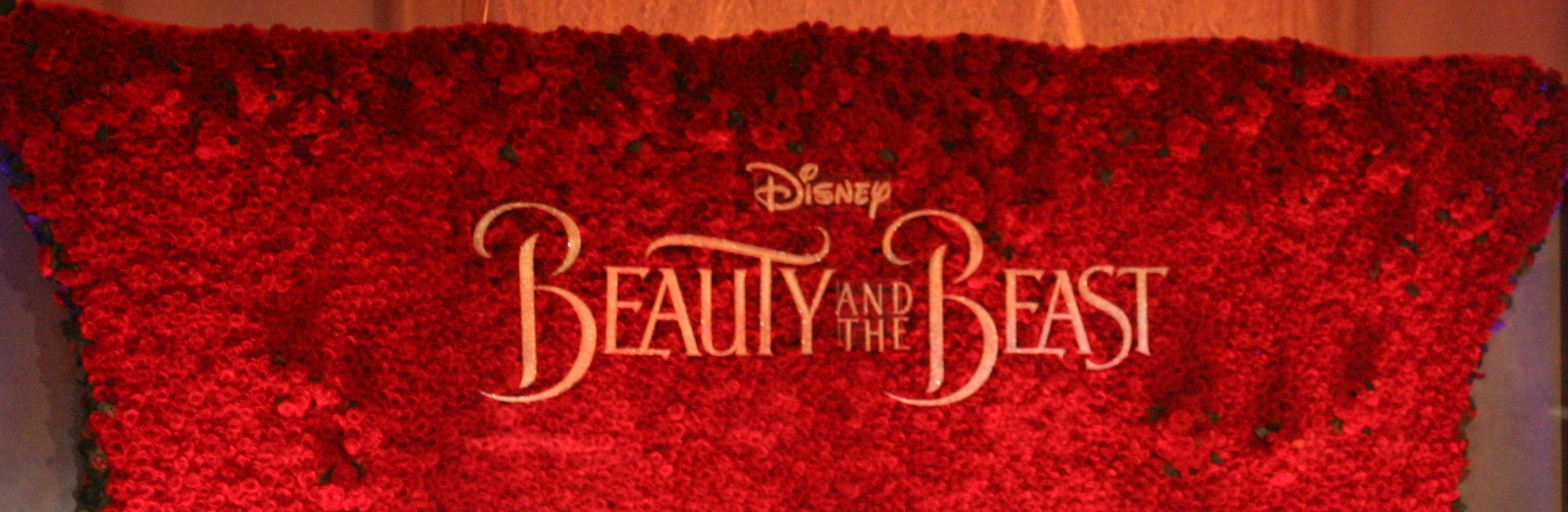 Disney S Beauty And The Beast Press Conference The Geek S Blog Disneygeek Com Beauty and the beastwritten by stephen chbosky & evan spiliotopoulosbased on the 1991 animated filmbeauty and the beast screenplay by linda woolvertonaugust 10, 2016. beast press conference