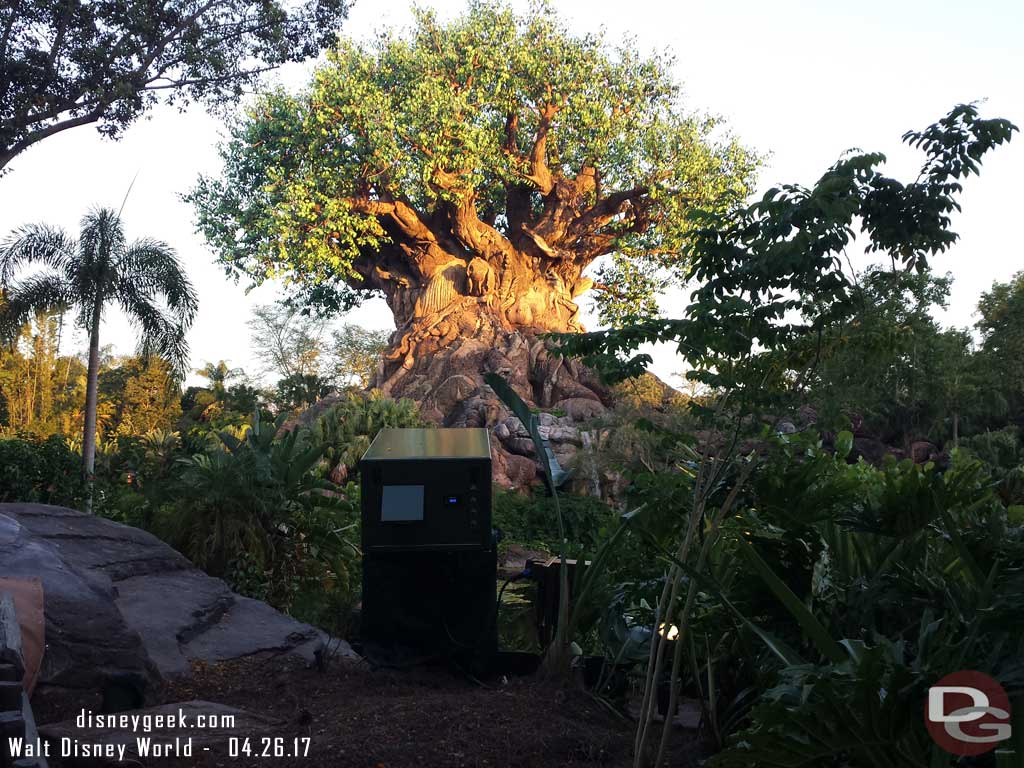 New projectors on the backside of the Tree of Life so the Awakenings show can be expanded in the coming weeks. Hopefully these will be covered/hidden somehow soon too.