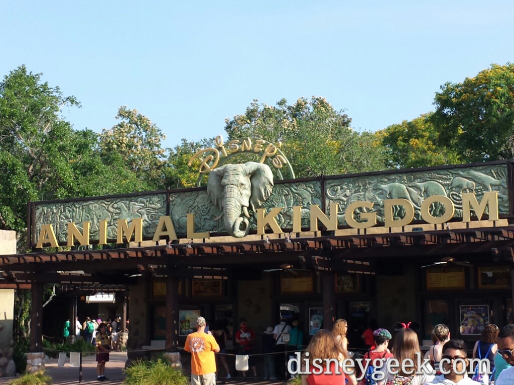 Arrived at Disney's Animal Kingdom just before park opening.