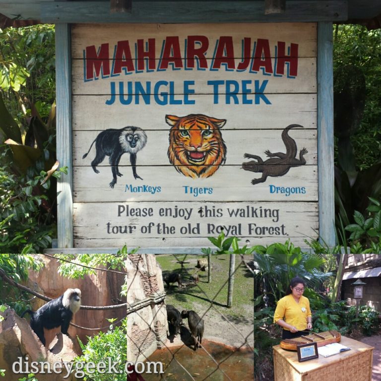 maharajah jungle trek cost