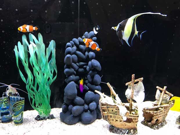 aquarium finding nemo fish tank