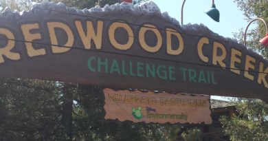 Earthweek Redwood Creek Challenge Trail activities