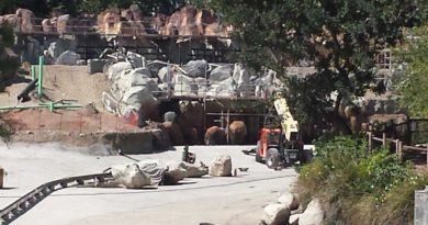 Star Wars / Rivers of America Construction - 4/21