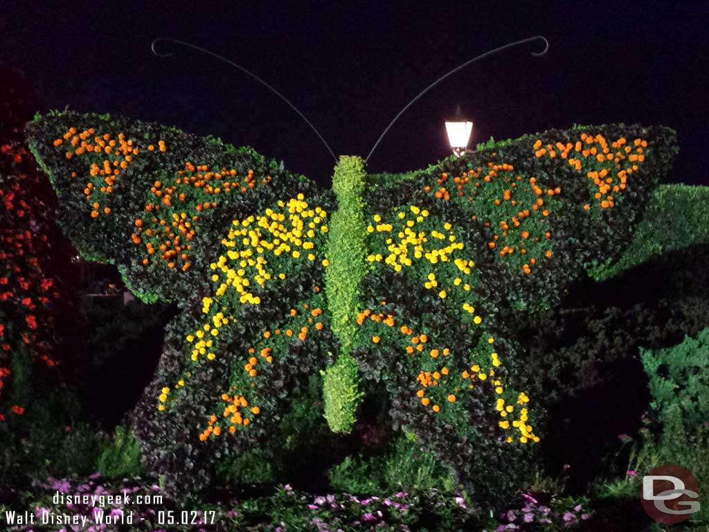 Butterfly topiary under the lights.