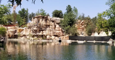 Rivers of America Construction