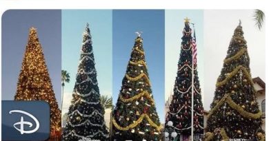 Video - Walt Disney World Christmas Trees