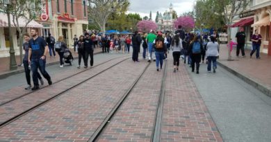 Disneyland Main Street USA Brick work / Streetcar Track Replacement