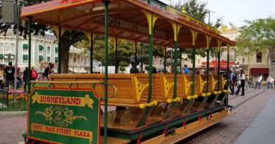 Disneyland Street Car Track Replacement