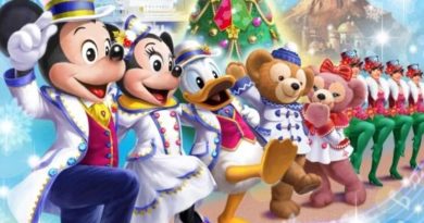 Tokyo Disney Christmas 2018