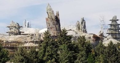 Disneyland Star Wars: Galaxy's Edge Construction
