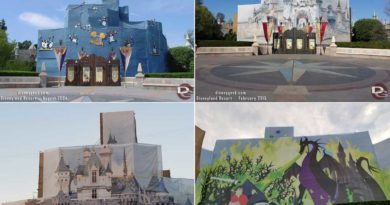 Sleeping Beauty Castle Renovations